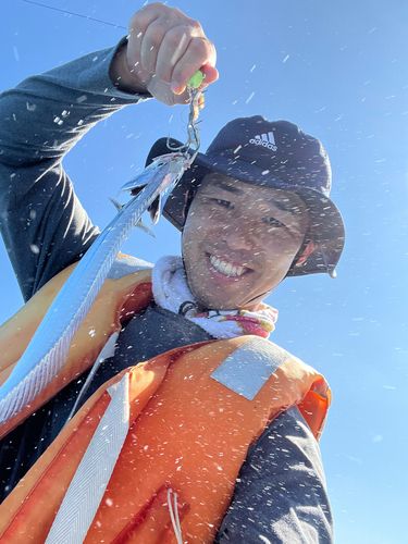 タチウオの釣果