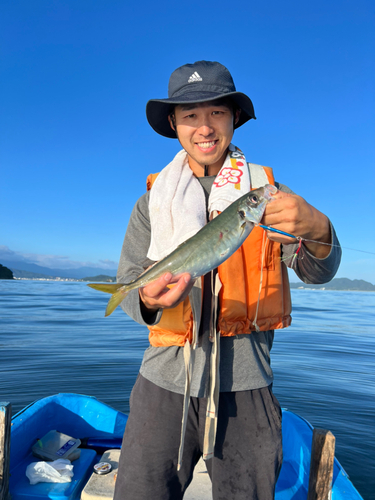 マアジの釣果