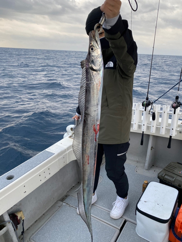 タチウオの釣果