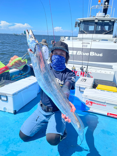 タチウオの釣果