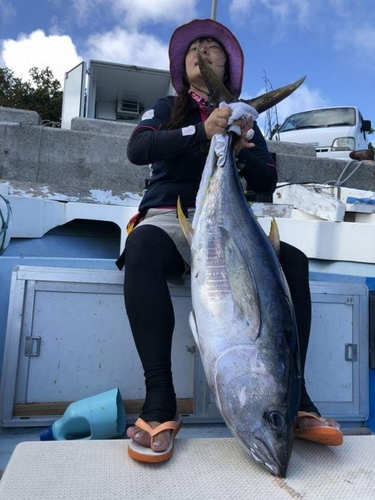 メバチマグロの釣果