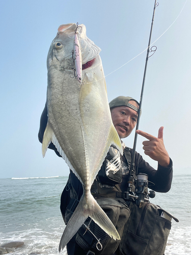 ロウニンアジの釣果