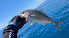 シオの釣果