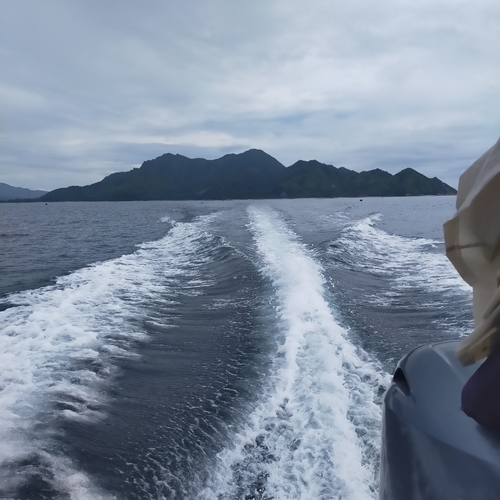 タイの釣果