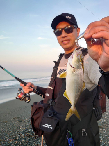 ショゴの釣果