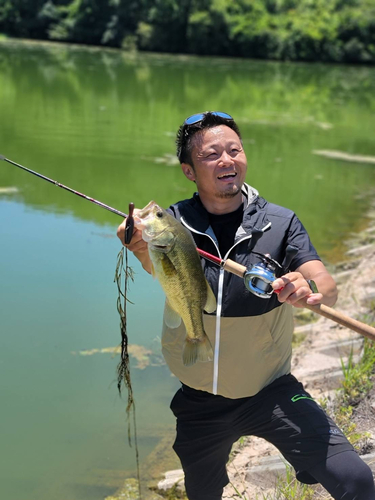 ブラックバスの釣果