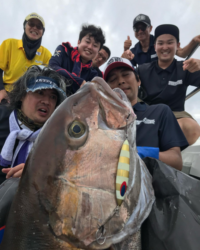 カンパチの釣果