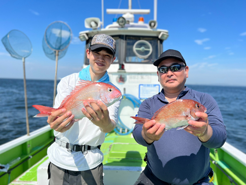 マダイの釣果