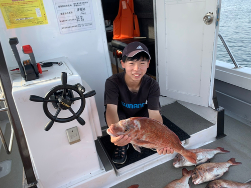 マダイの釣果