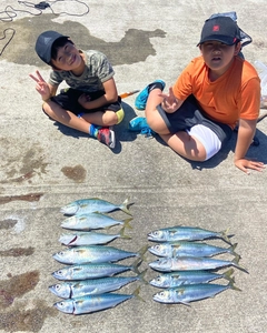 サバの釣果