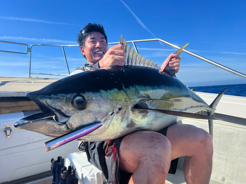 キハダマグロの釣果