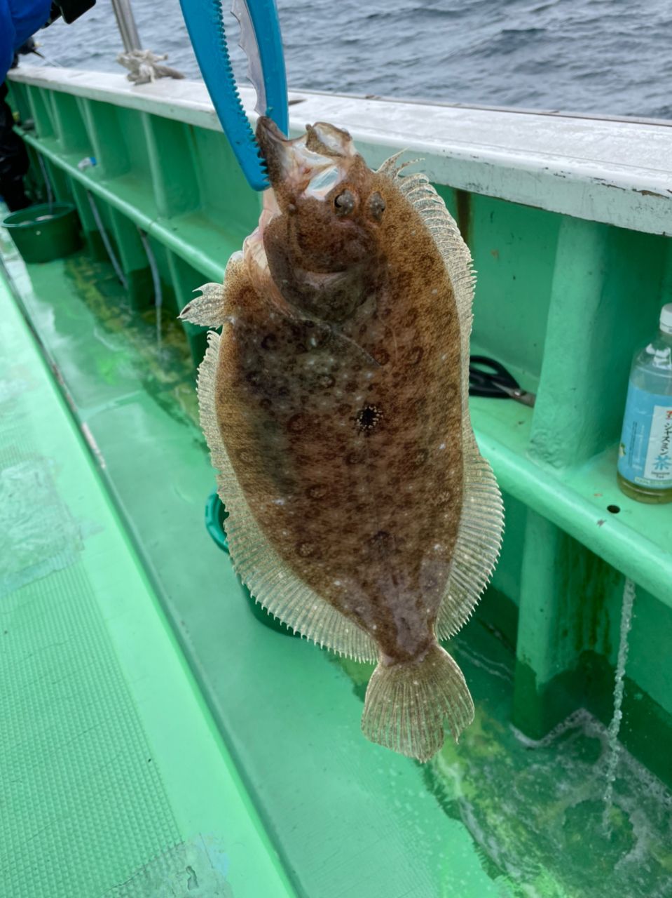 妓夫太郎さんの釣果 1枚目の画像