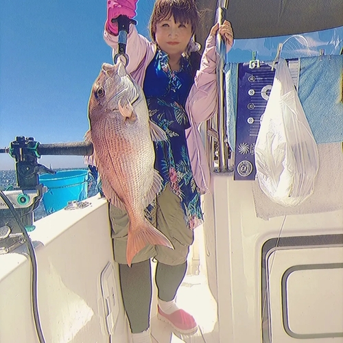 マダイの釣果