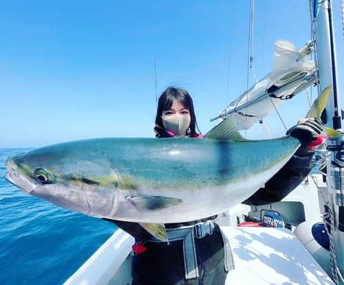 ブリの釣果