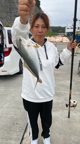 ショゴの釣果