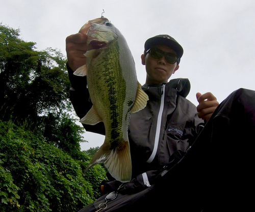 ブラックバスの釣果