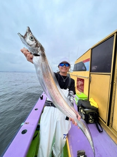 タチウオの釣果