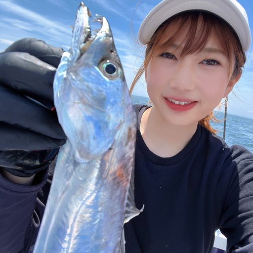 タチウオの釣果