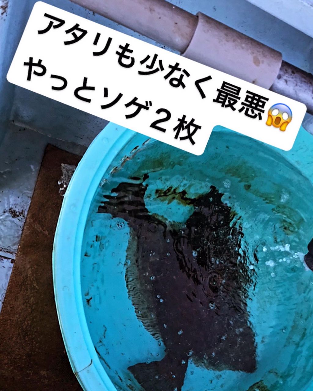 釣りキチ爺さんスーさんの釣果 2枚目の画像