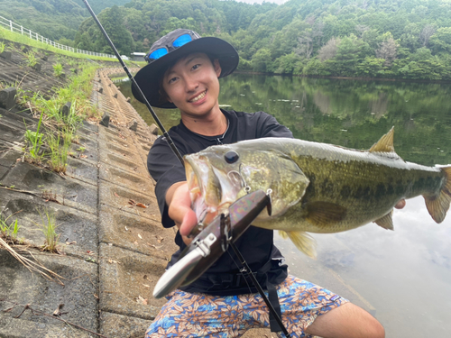 ブラックバスの釣果