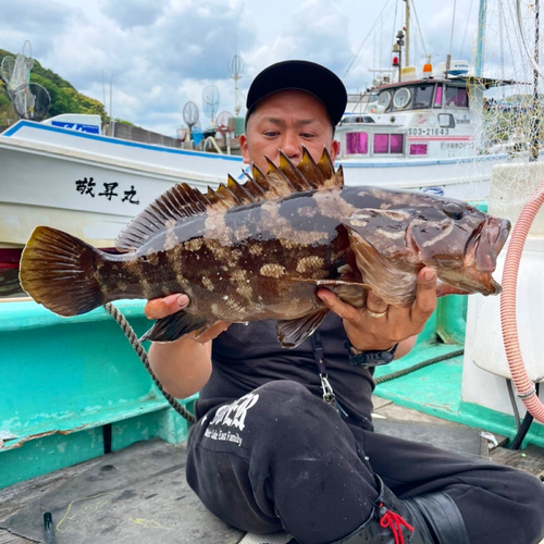 クエの釣果