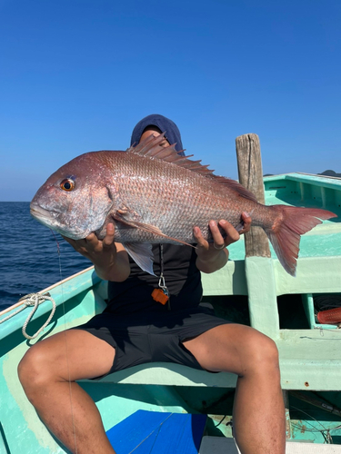 タイの釣果