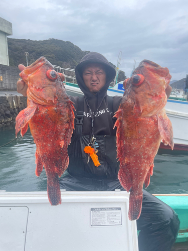 ウッカリカサゴの釣果