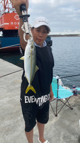 ショゴの釣果