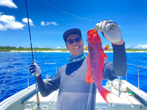 バラハタの釣果