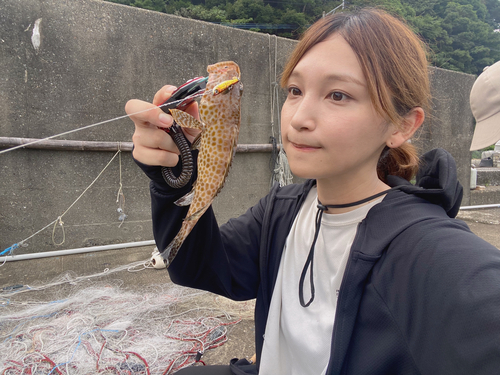 オオモンハタの釣果