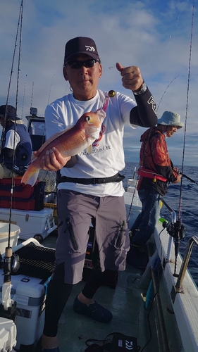 アマダイの釣果