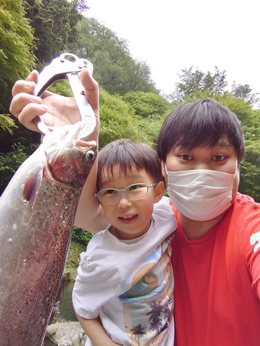 アマゴの釣果