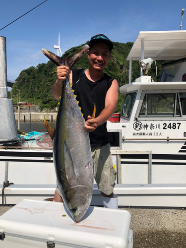 キハダマグロの釣果