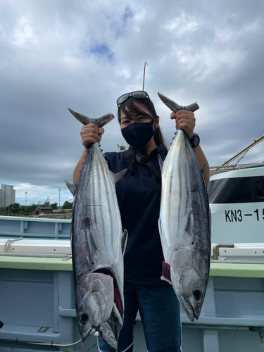 カツオの釣果