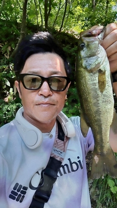 ラージマウスバスの釣果