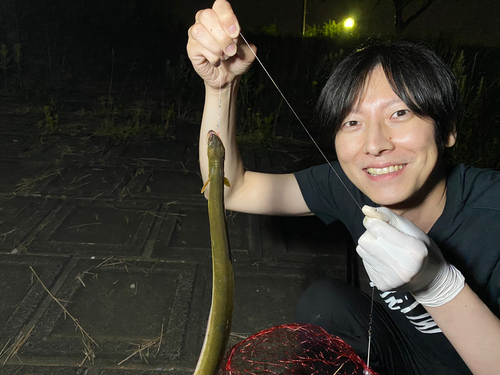 ウナギの釣果