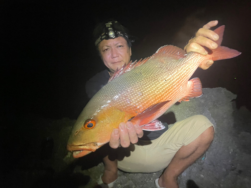 ムネアカクチビの釣果