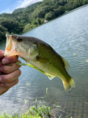 釣果