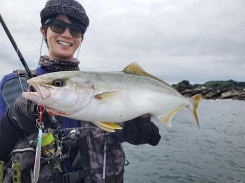 ショゴの釣果