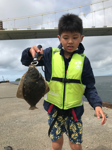 カレイの釣果