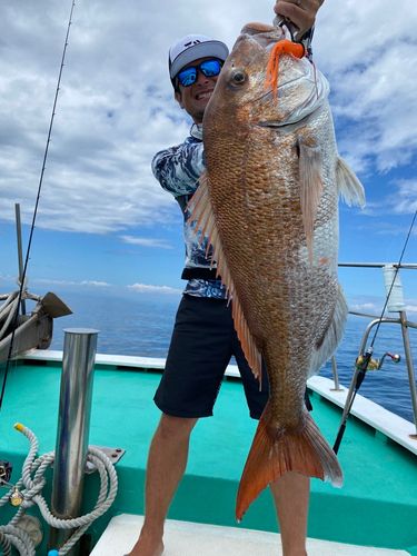 タイの釣果