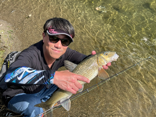 ニゴイの釣果