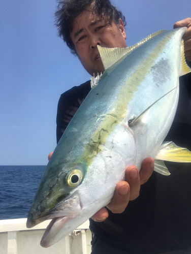 メジロの釣果