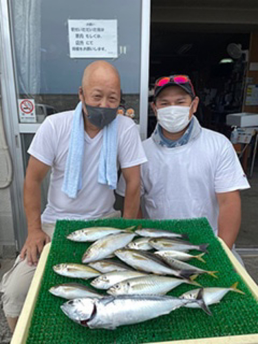 マアジの釣果