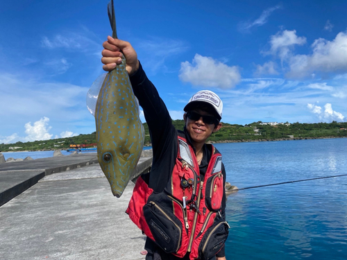 ソウシハギの釣果