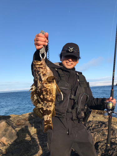 タケノコメバルの釣果