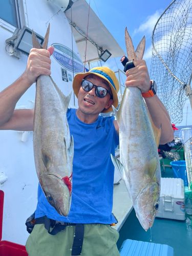 カンパチの釣果