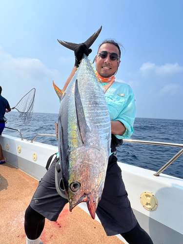 キハダマグロの釣果