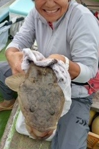 マゴチの釣果