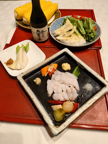 シーバスの釣果